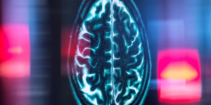 ԳԻՏՆԱԿԱՆՆԵՐԸ հայտնաբերել են ուղեղի «մղոնաչափը»