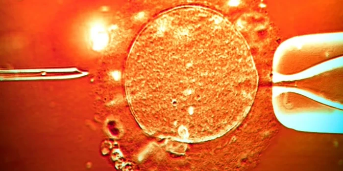 Սարսափելի ժառանգություն. Քաղցկեղ առաջացնող գենով դոնորի սերմ...