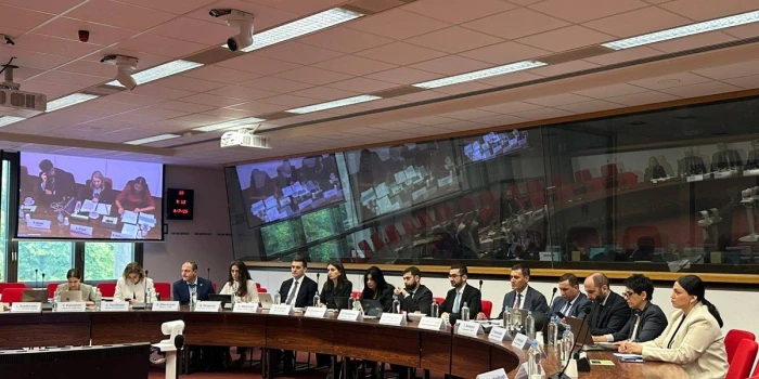 Նախարարի տեղակալ Արթուր Մարտիրոսյանը մասնակցել է ՀՀ-ԵՄ գործը...