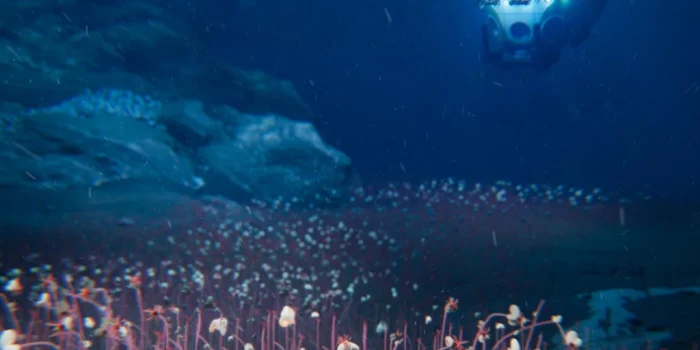 Անծանոթ, ծայրահեղ պայմաններում ապրող արարածների «համայնքներ»...