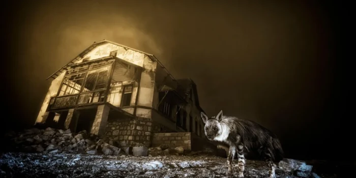 ԹԱՆԳԱՐՈՒԹՅՈՒՆ. «ԲՆՈՒԹՅԱՆ ԼՈՒՍԱՆԿԱՐԱԳՐՈՒԹՅԱՆ ՀԱՂԹՈՂՆԵՐԸ 2025...