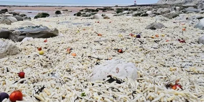 Չիփերի խառնաշփոթ լողափին․ հազարավոր պայուսակներ լվացվել են ա...