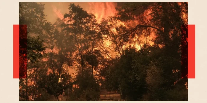 Արձակուրդի մասին պատկերացումները փոխվում են՝ կլիմայական փոփո...