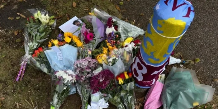 XL Bully-ի տերը դատապարտվեց 5 տարվա ազատազրկման՝ մարդու մահվ...