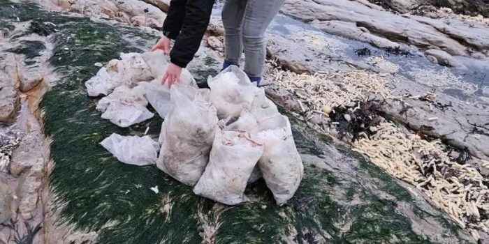 Չիփերի խառնաշփոթ լողափին․ հազարավոր պայուսակներ լվացվել են ա...