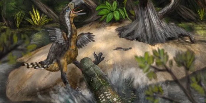 Մեսրոպյան «սարսափ թռչունը» կարող էր կործանվել հսկա կոկորդիլո...