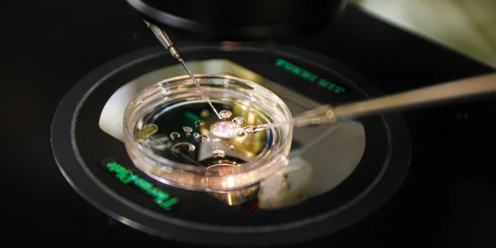 ԳԻՆԵՏԻԿԱԿԱՆ ՓՈՐՁ՝ ՄԱՐԴԿԱՆ ԿՈՐՔԻ ՍԵԼԵՆԻ ՆՅՈՒԿԼԵՈՆԻՑ ԵՐԲԵՆՅԱԿՆ...