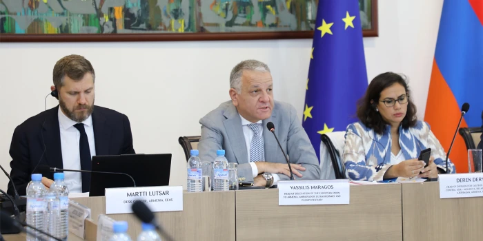 Երևանում կայացել է ՀՀ-ԵՄ մարդկանց միջև շփումների ենթակոմիտեի...