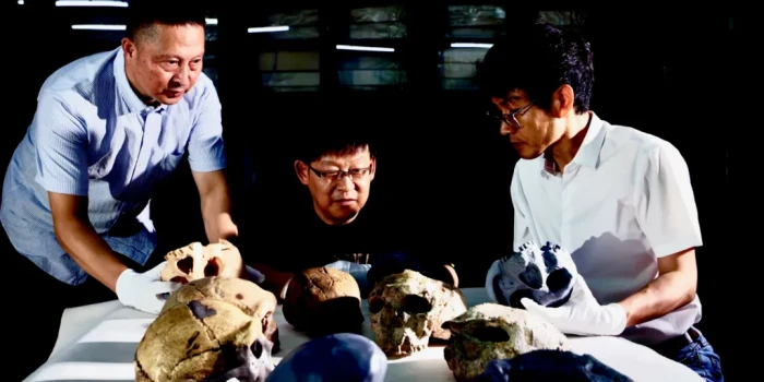 Միլիոն տարվա հնության գանգը վերաձևում է մարդու ծագման պատմու...