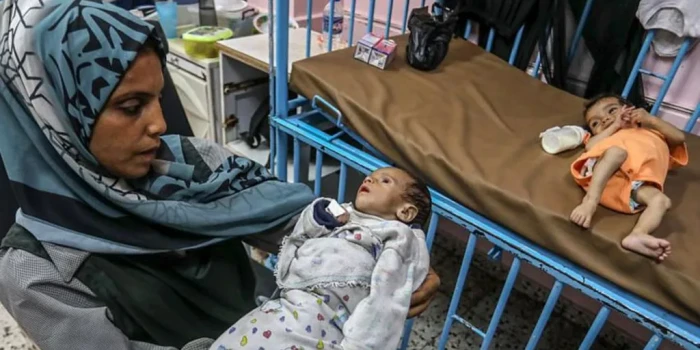 ՅՈւՆ-ի օգնության գործակալությունը հայտնում է․ Գազայում յուրա...