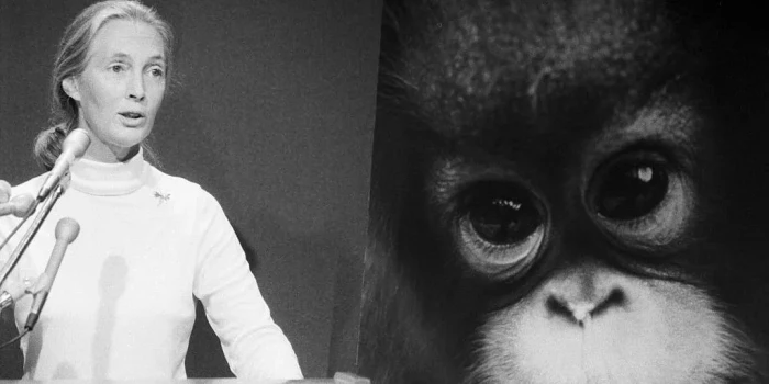 Դեյմ Ջեյն Գուդոլը մահացել է 91 տարեկան հասակում