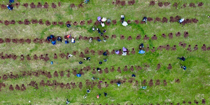 🎥 Ակբա բանկ. Ծառատունկ՝ հանուն կանաչ Հայաստանի .banks.am