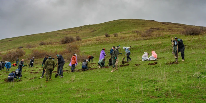 🎥 Ակբա բանկ. Ծառատունկ՝ հանուն կանաչ Հայաստանի .banks.am