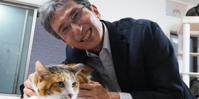 Կոճղագույն կատուների տասնամյակներով չբացահայտված գաղտնիքը վե...