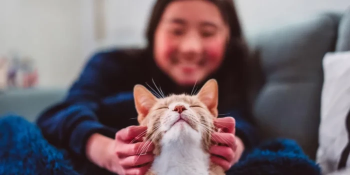 Կատուները մեզ ընտելացան շատ ավելի ուշ, քան կարծում էիր