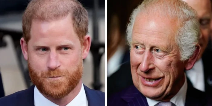 Հարի Հեգերը մտնում է Կլարենս Հաուս՝ շրջանառվող լուրերի ֆոնին...