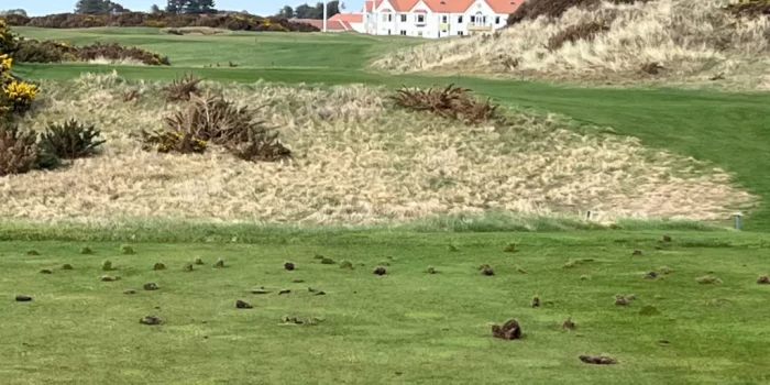 Թրամփի Turnberry հանգստավայրում վանդալիզմի ենթարկվել է պաղես...