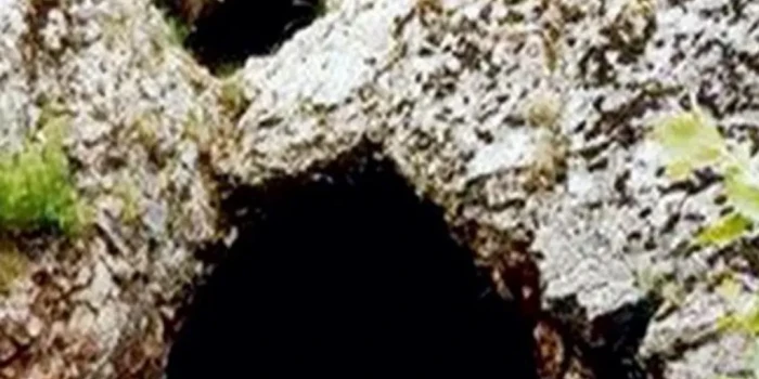 Աշխարհի ամենահին բումերանգը հետ չի վերադառնում, բայց հիացնու...