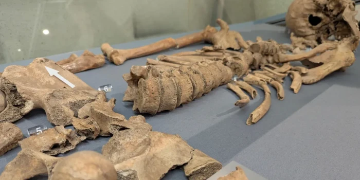 Առաջին անգամ՝ հայտնաբերվել են հնագիտական ապացույցներ մարդու...