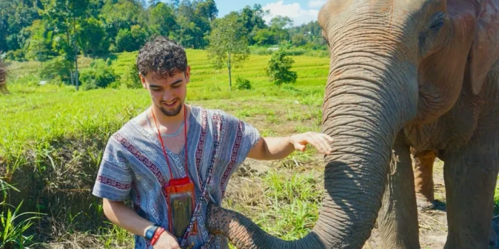 Կալեիդոսկոպային լույս և կույրություն՝ Լաոսում մեթանոլի թունա...