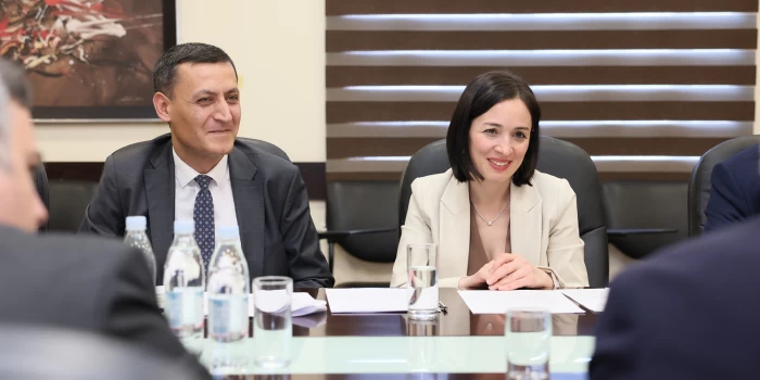 Հայաստանում կանցկացվեն Վրաստանի մշակույթի օրեր