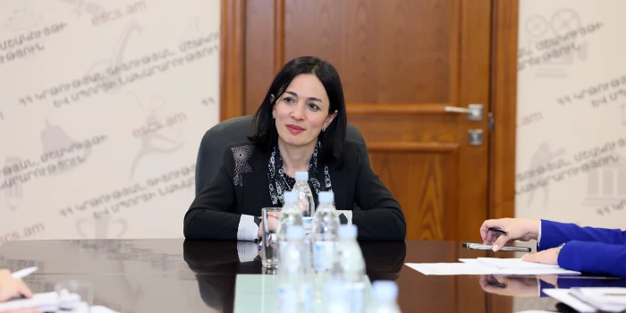 ԿԳՄՍ նախարարը հանդիպել է ձմեռային մարզաձևերի ֆեդերացիաների ն...
