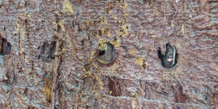 Տիտանիկի սկանը բացահայտում է նավի վերջին ժամերի մասին բեկում...