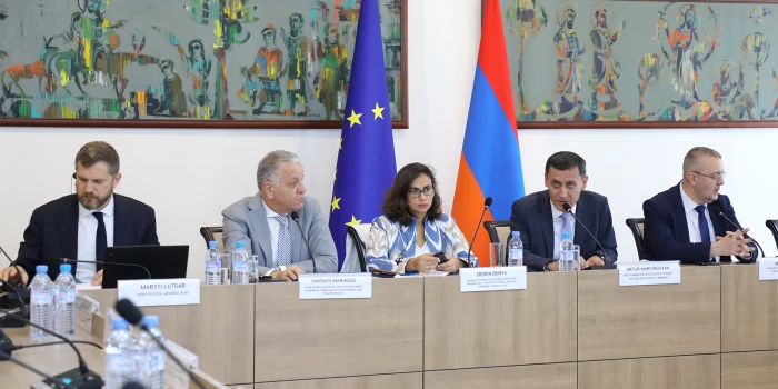 Երևանում կայացել է ՀՀ-ԵՄ մարդկանց միջև շփումների ենթակոմիտեի...