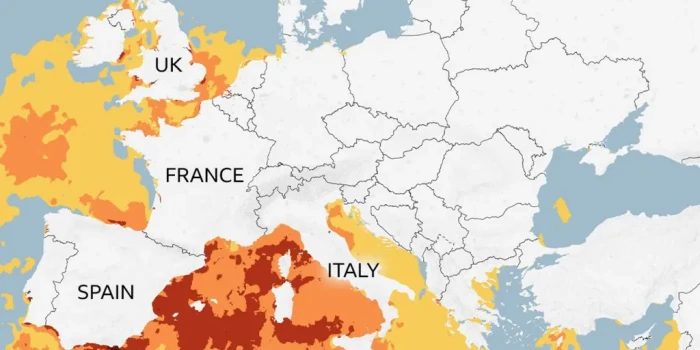 Միջերկրականում ծայրահեղ ջերմային ալիքը վտանգի տակ է դնում ծո...