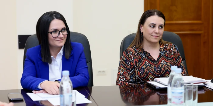 ԿԳՄՍ նախարարը հանդիպել է ձմեռային մարզաձևերի ֆեդերացիաների ն...