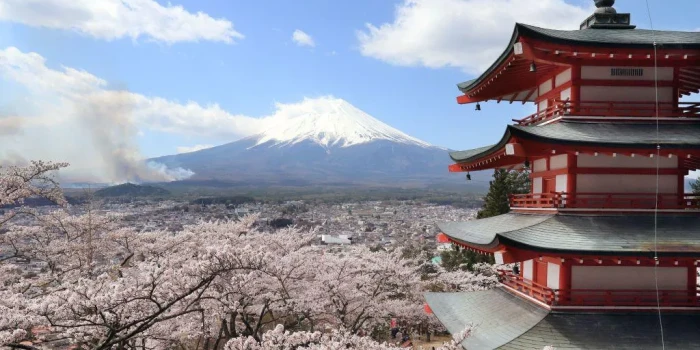 Ֆուջիյամա լեռան մոտ գտնվող քաղաքում չեղարկվեց ծաղկասակուրայի...