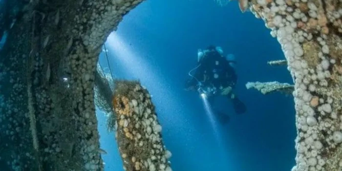 140 տարվա հին նավաբեկության առեղծվածը բացահայտվել է