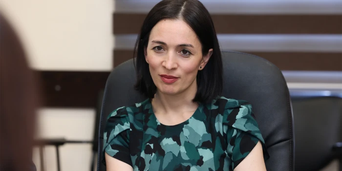 Քննարկվել են ՄԱԿ-ի բնակչության հիմնադրամի հետ համագործակցութ...